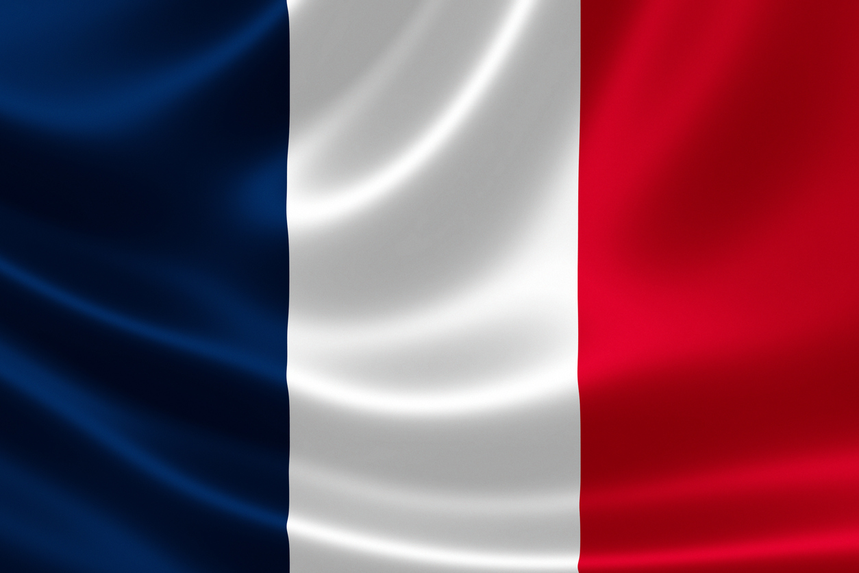 Prédiction 2024 France : que va-t-il se passer ?